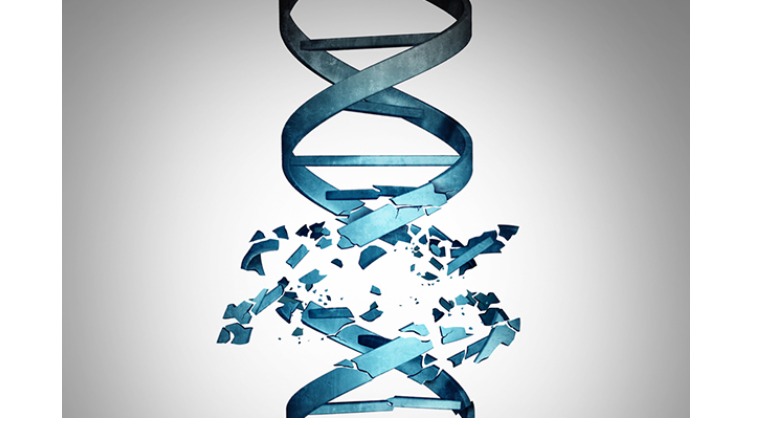DNA DNA