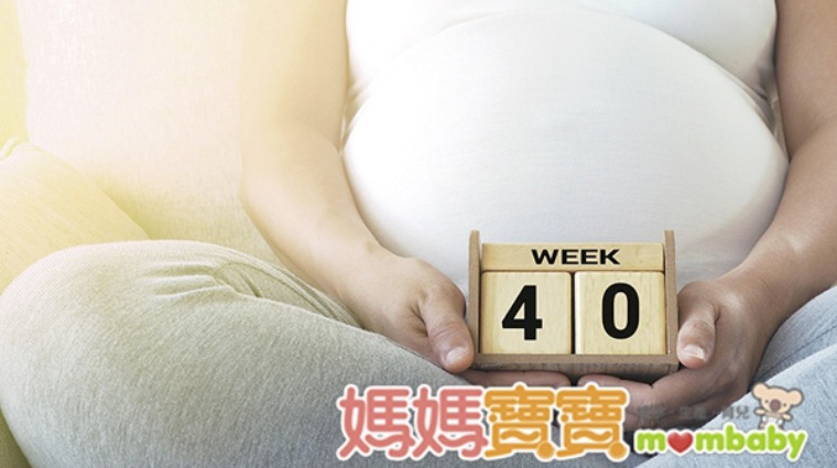 懷孕 懷孕