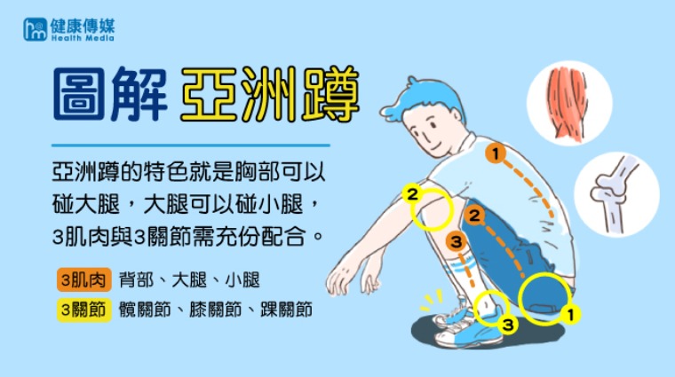 亞洲蹲圖解 亞洲蹲圖解