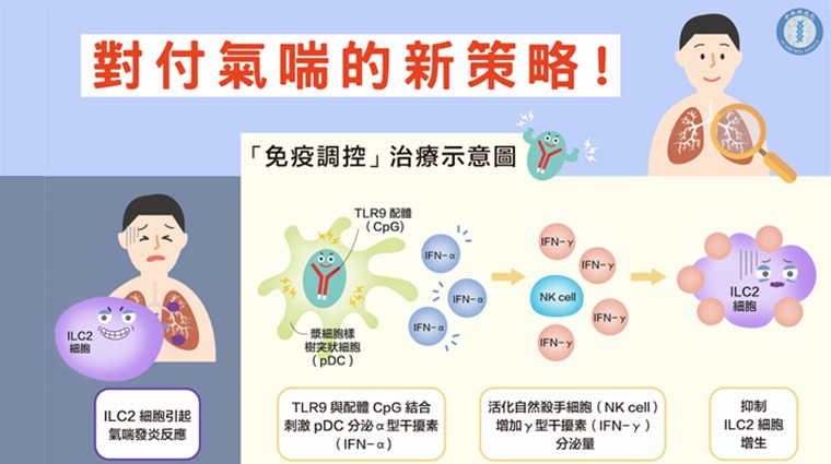 對付氣喘免疫調控治療示意圖 對付氣喘免疫調控治療示意圖