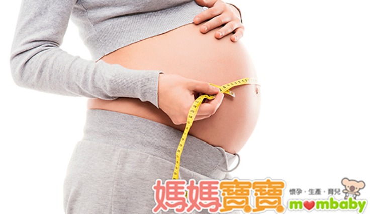孕肚 孕肚