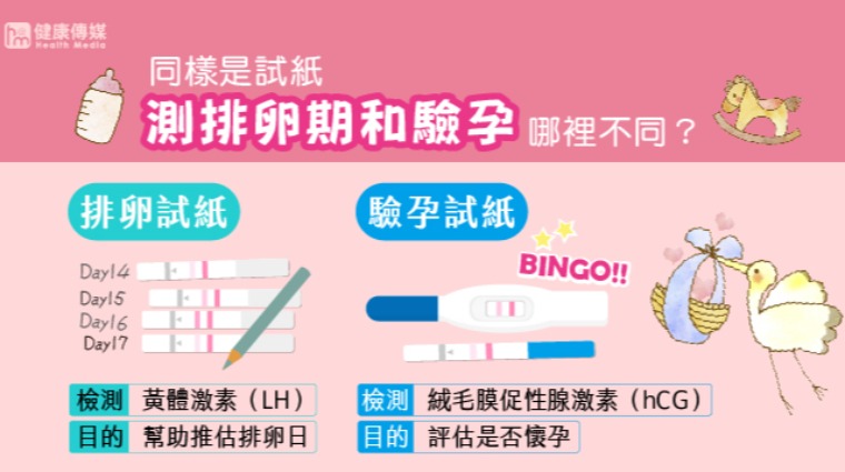 排卵、驗孕試紙檢測圖 排卵、驗孕試紙檢測圖