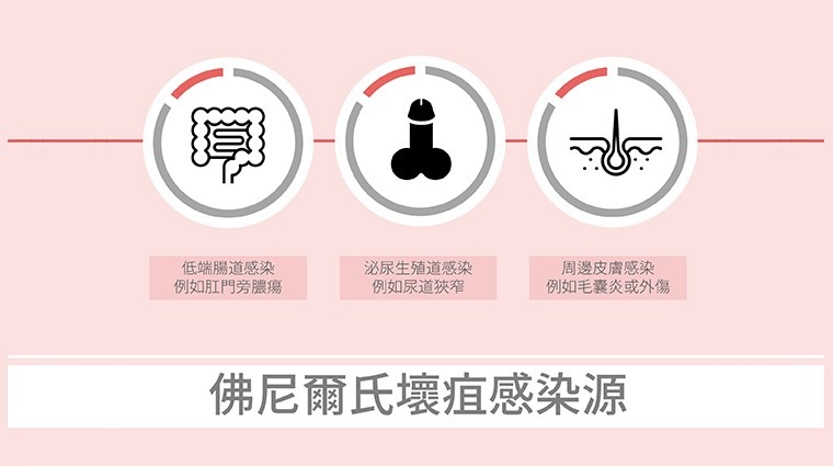 佛尼爾氏壞疽感染來源 佛尼爾氏壞疽感染來源