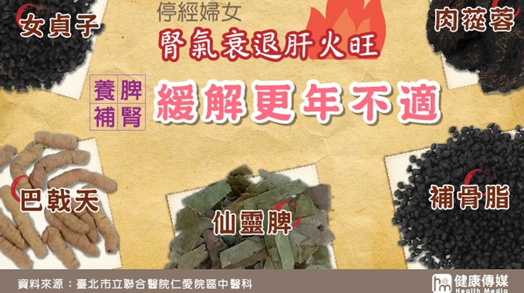 補腎中藥材 補腎中藥材