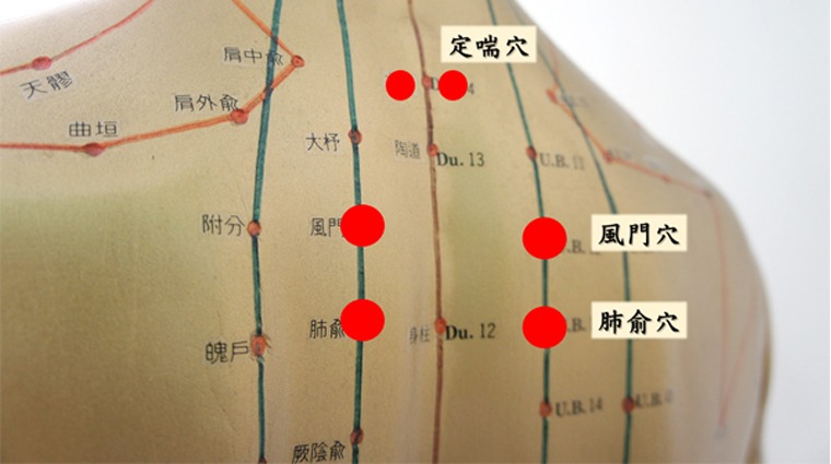 三伏貼穴位 三伏貼穴位