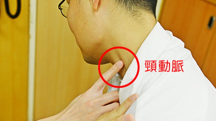 頸動脈 頸動脈