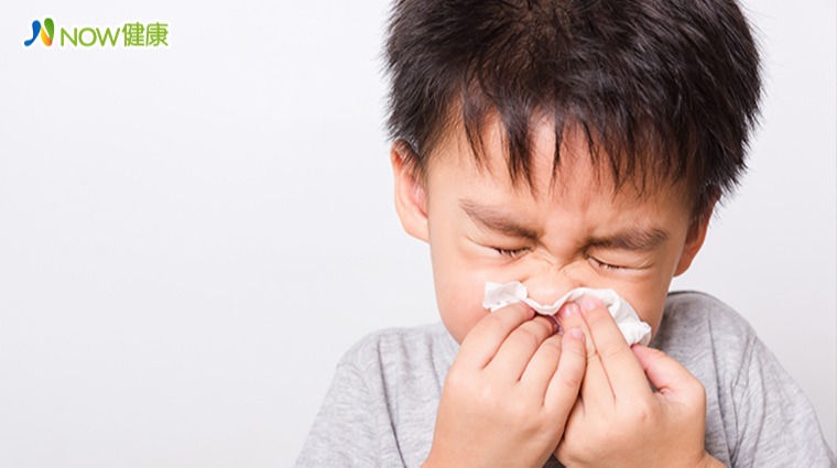 鼻子過敏 鼻子過敏