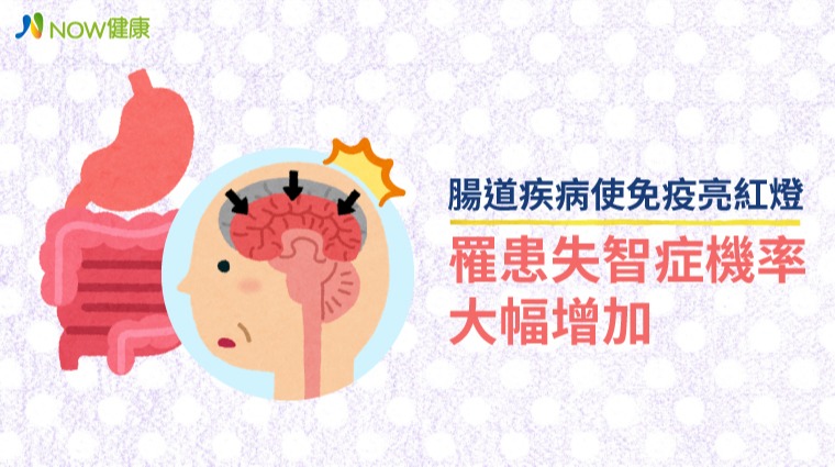 腸道與大腦 腸道與大腦