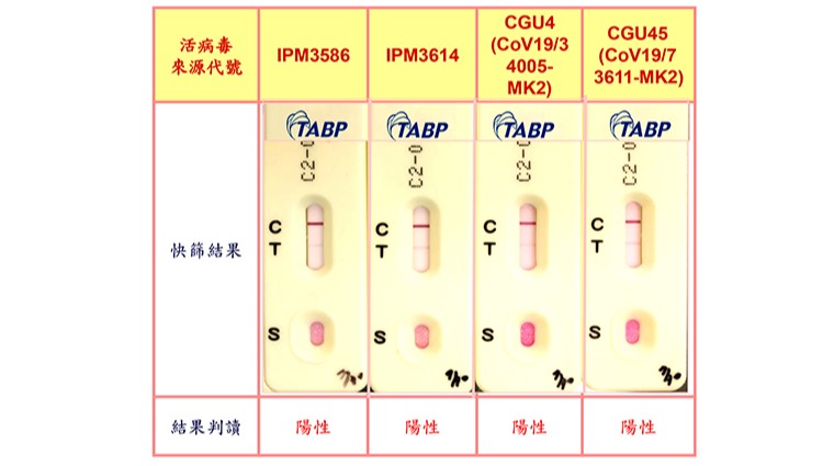 預醫驗證測試結果 預醫驗證測試結果