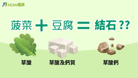 菠菜豆腐