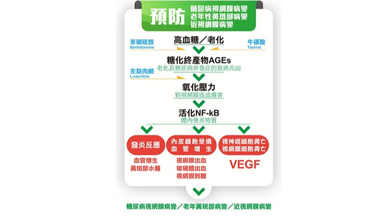 玻璃體黃斑分離 玻璃體黃斑分離