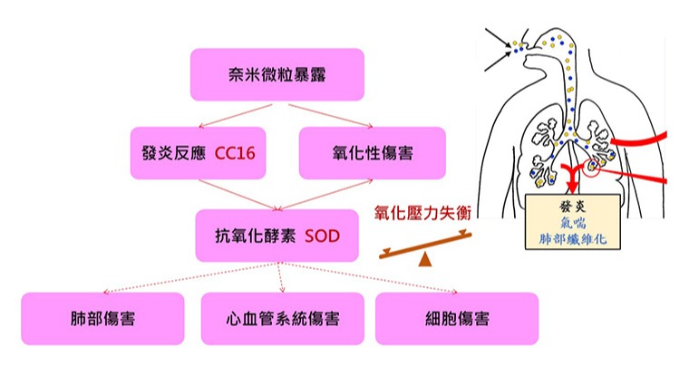 奈米微粒 奈米微粒