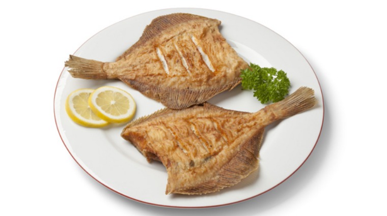 魚 魚