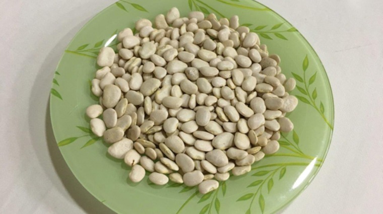 白鳳豆
