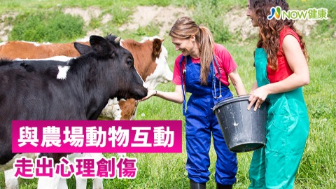 與農場動物互動 走出心理創傷