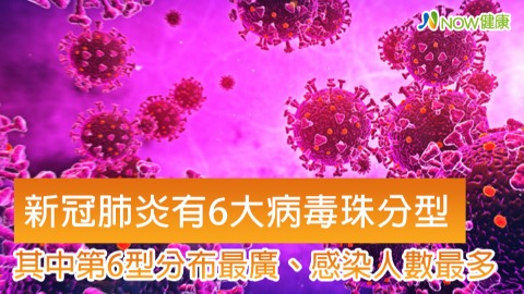 新冠肺炎有6大病毒珠分型