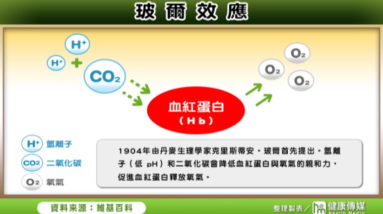 泡泡電波 泡泡電波