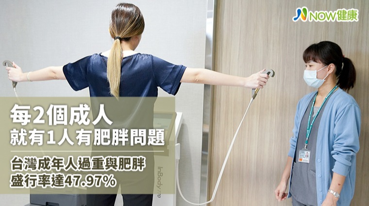 每2個成人就有1人有肥胖問題 台灣成年人過重與肥胖盛行率達47.97% 每2個成人就有1人有肥胖問題 台灣成年人過重與肥胖盛行率達47.97%