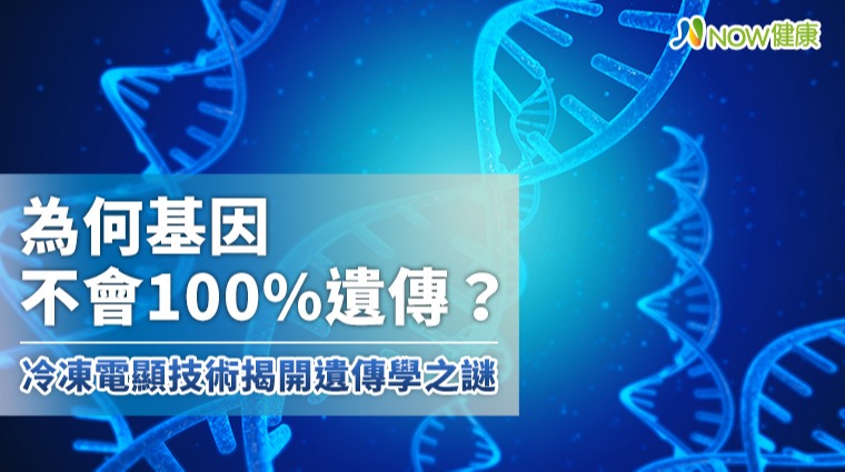 為何基因不會100%遺傳? 冷凍電顯技術揭開遺傳學之謎 為何基因不會100%遺傳? 冷凍電顯技術揭開遺傳學之謎