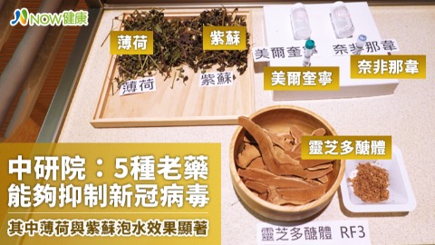 中研院找到5種老藥能抑制新冠病毒 其中薄荷與紫蘇泡水效果顯著