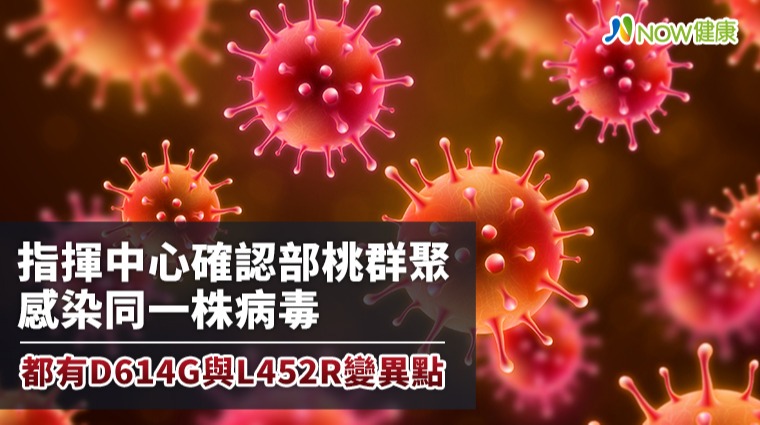 指揮中心確認部桃群聚感染同1株病毒 都有D614G 與L452R變異點 指揮中心確認部桃群聚感染同1株病毒 都有D614G 與L452R變異點