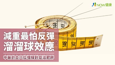 減重最怕反彈溜溜球效應 中醫針灸穴位埋線對症治肥胖