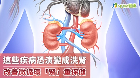 這些疾病恐演變成洗腎 改善體內微循環「腎」重保健