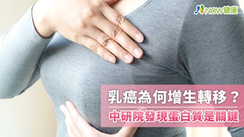 乳癌為何增生轉移？ 中研院發現蛋白質DSG2是關鍵