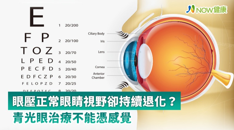 眼壓正常眼睛視野卻持續退化? 青光眼治療不能憑感覺 眼壓正常眼睛視野卻持續退化? 青光眼治療不能憑感覺