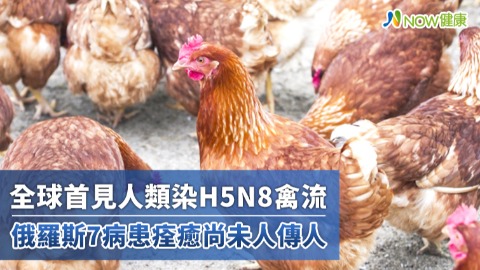 全球首見人類染H5N8禽流 俄羅斯7病患痊癒尚未人傳人