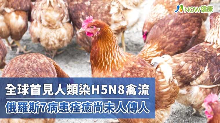 全球首見人類染H5N8禽流 俄羅斯7病患痊癒尚未人傳人 全球首見人類染H5N8禽流 俄羅斯7病患痊癒尚未人傳人