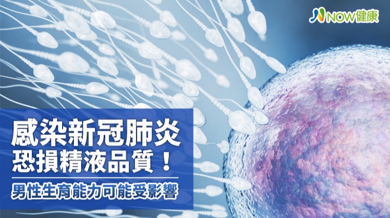 感染新冠肺炎恐損精液品質! 男性生育能力可能受影響 感染新冠肺炎恐損精液品質! 男性生育能力可能受影響
