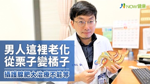 男人這裡從栗子變橘子老化造成 攝護腺肥大治療不能等