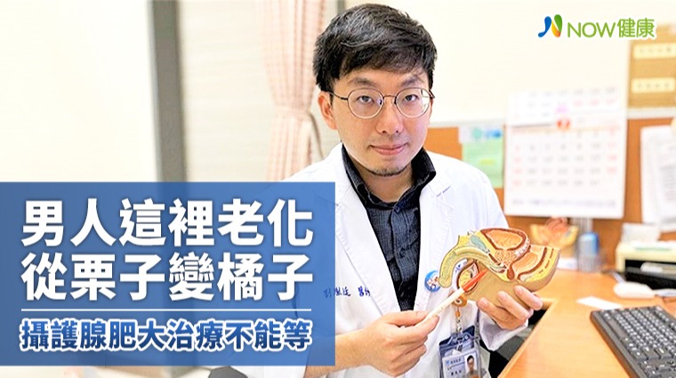 男人這裡從栗子變橘子老化造成 攝護腺肥大治療不能等 男人這裡從栗子變橘子老化造成 攝護腺肥大治療不能等