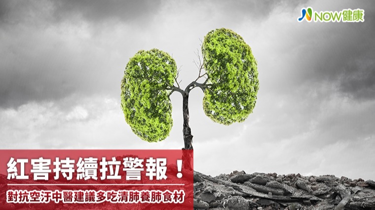 紅害持續拉警報! 對抗空汙中醫建議多吃清肺養肺食材 紅害持續拉警報! 對抗空汙中醫建議多吃清肺養肺食材