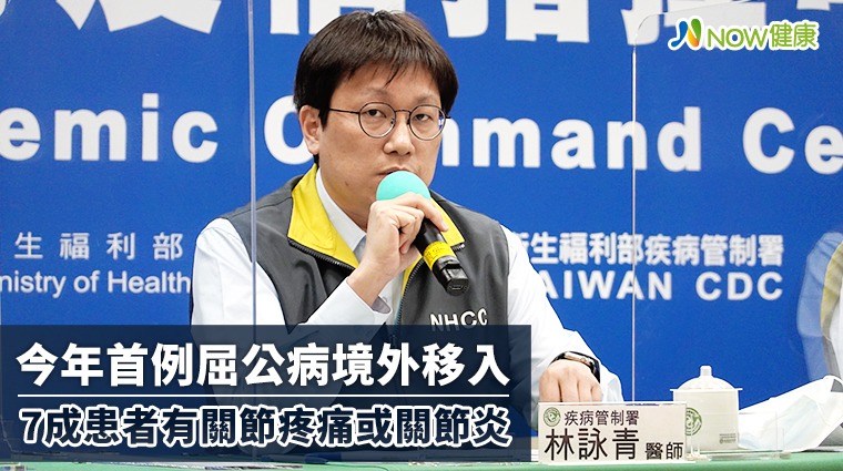 今年首例屈公病境外移入 7成患者有關節疼痛或關節炎 今年首例屈公病境外移入 7成患者有關節疼痛或關節炎