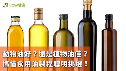 動物油好？還是植物油佳？ 搞懂食用油製程聰明挑選！