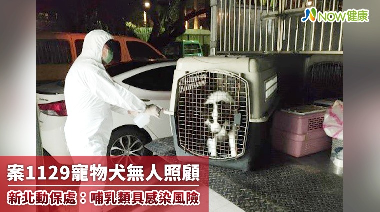 案1129寵物犬無人照顧 新北動保處：哺乳類具感染風險