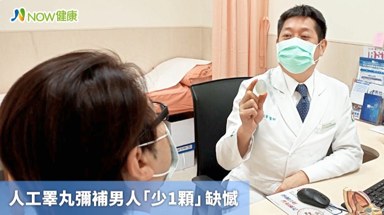 人工睪丸彌補男人「少1顆」缺憾 人工睪丸彌補男人「少1顆」缺憾