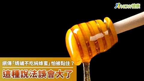 網傳「螞蟻不吃純蜂蜜」怕被黏住？ 這種說法誤會大了