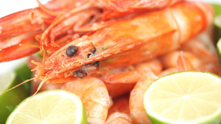 海鮮食物 海鮮食物