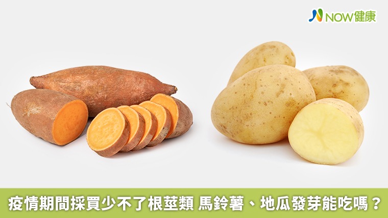 疫情期間採買少不了根莖類 馬鈴薯、地瓜發芽能吃嗎? 疫情期間採買少不了根莖類 馬鈴薯、地瓜發芽能吃嗎?