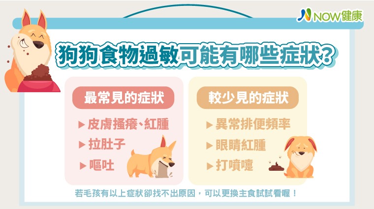狗狗食物過敏可能有哪些症狀? 狗狗食物過敏可能有哪些症狀?