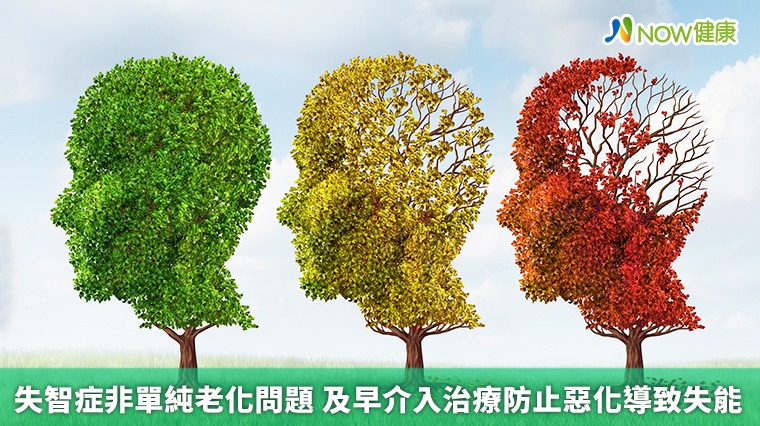 失智症非單純老化問題 及早介入治療防止惡化導致失能 失智症非單純老化問題 及早介入治療防止惡化導致失能