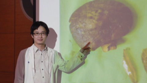 腸胃結石