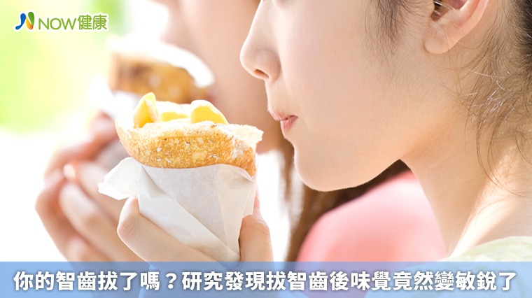 你的智齒拔了嗎? 研究發現拔智齒後味覺竟然變敏銳了 你的智齒拔了嗎? 研究發現拔智齒後味覺竟然變敏銳了