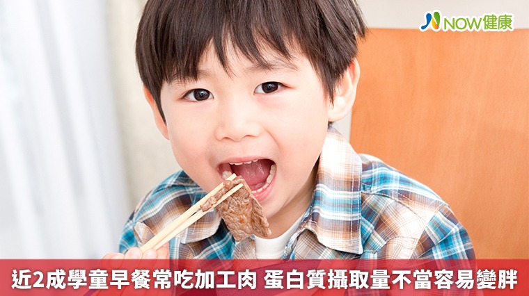 近2成學童早餐常吃加工肉 蛋白質攝取量不當容易變胖 近2成學童早餐常吃加工肉 蛋白質攝取量不當容易變胖