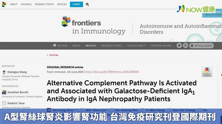 A型腎絲球腎炎影響腎功能 台灣免疫研究刊登國際期刊 A型腎絲球腎炎影響腎功能 台灣免疫研究刊登國際期刊