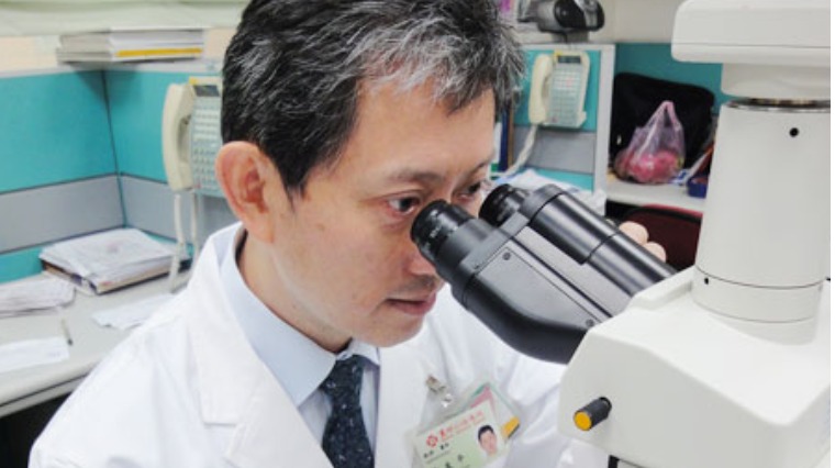 解救肝硬化 色素上皮衍生因子新發現 解救肝硬化 色素上皮衍生因子新發現