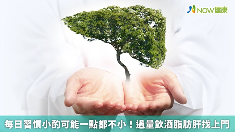 每日習慣小酌可能一點都不小! 過量飲酒脂肪肝找上門 每日習慣小酌可能一點都不小! 過量飲酒脂肪肝找上門